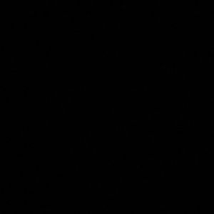 Meet your Posher, Rose